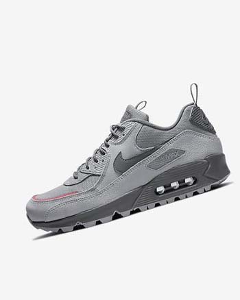 Nike Air Max 90 Surplus Grises Rosas Azules Claro Grises | MX 2813